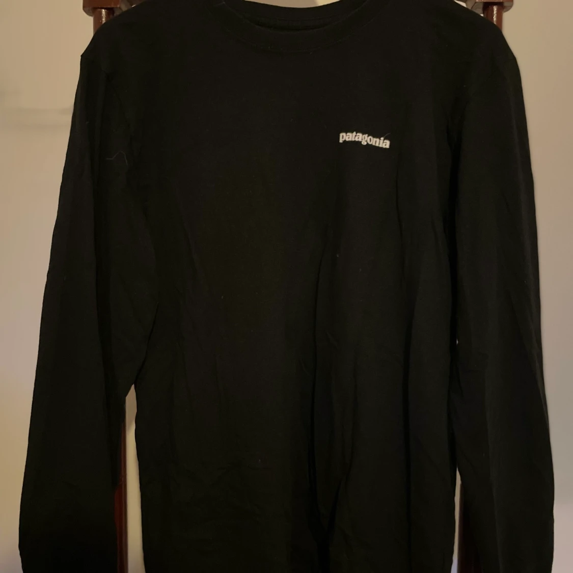 Patagonia långärmad