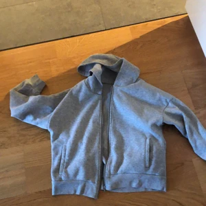 Zip up -  zip up från shein, lite sliten men Riktigt snygg och cool. Har använt mycket. 50 kr plus frakt. Står inte dirket storlek, den är ganska liten så alltså typ xs/s. Har några fläckar, inget som syns jätte tydligt.