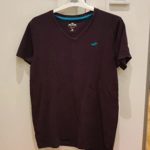 Hollister t-shirt  - Säljer nu min Hollister T-shirt, Small, v-neck, gratis frakt om snabb deal