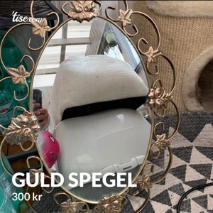 Guld Spegel - Säljer denna fina spegeln . Bra skick, nypris ca 600
