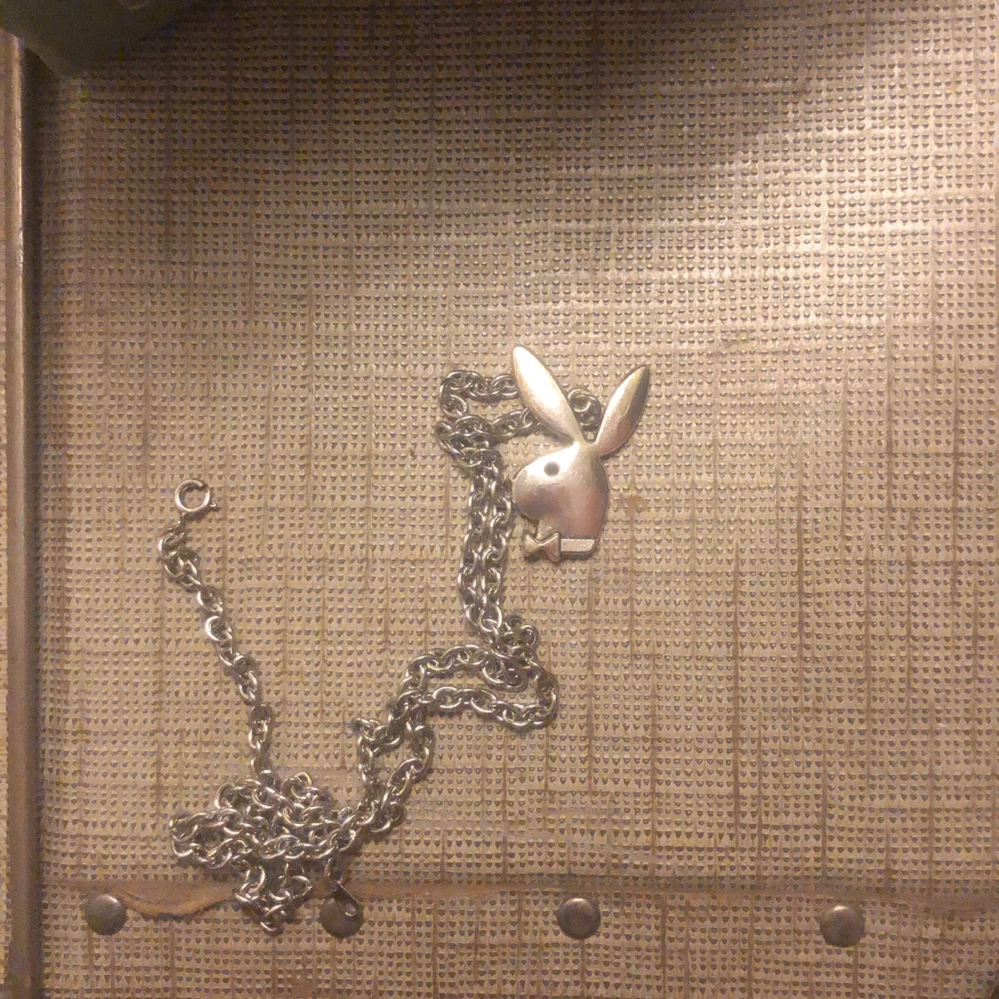 Playboy halsband