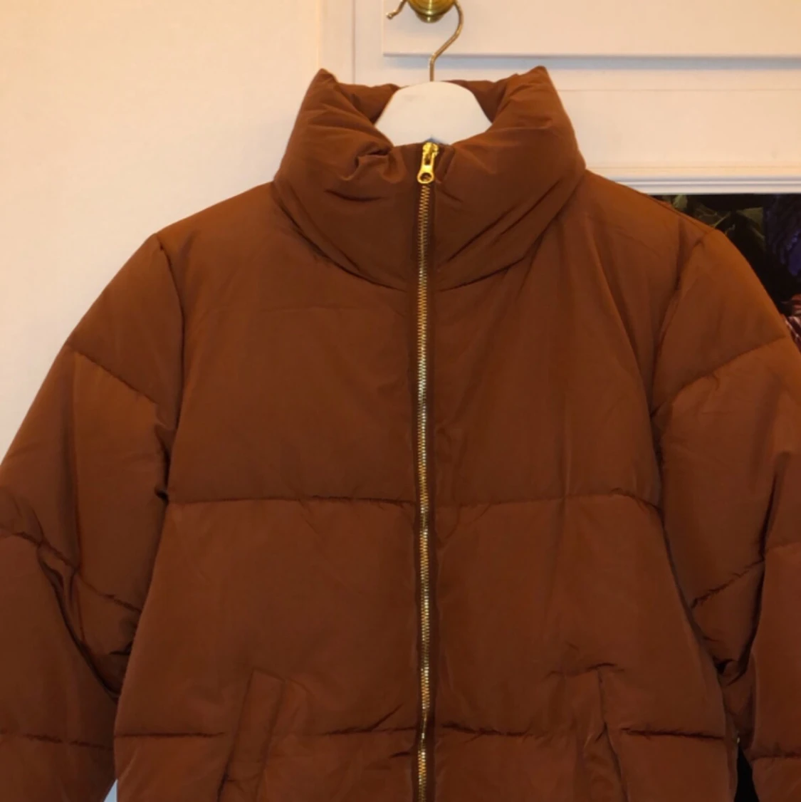 Redish-Brown Winter Jacket