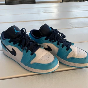 Jordan low blue - några veckor gamla