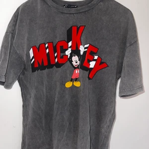 T-SHIRT  - t-shirt från zaraXdisney, storlek S! Köparen står för frakten! Pris kan diskuteras 🤠