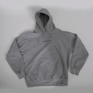 Grå Hoodie från Missguided - Hoodie ifrån Missguided. Hoodien är i väldigt fint skick. Plagget är i storlek S (Damstorlek). Kontakta oss för fler bilder eller om du har andra frågor!😊