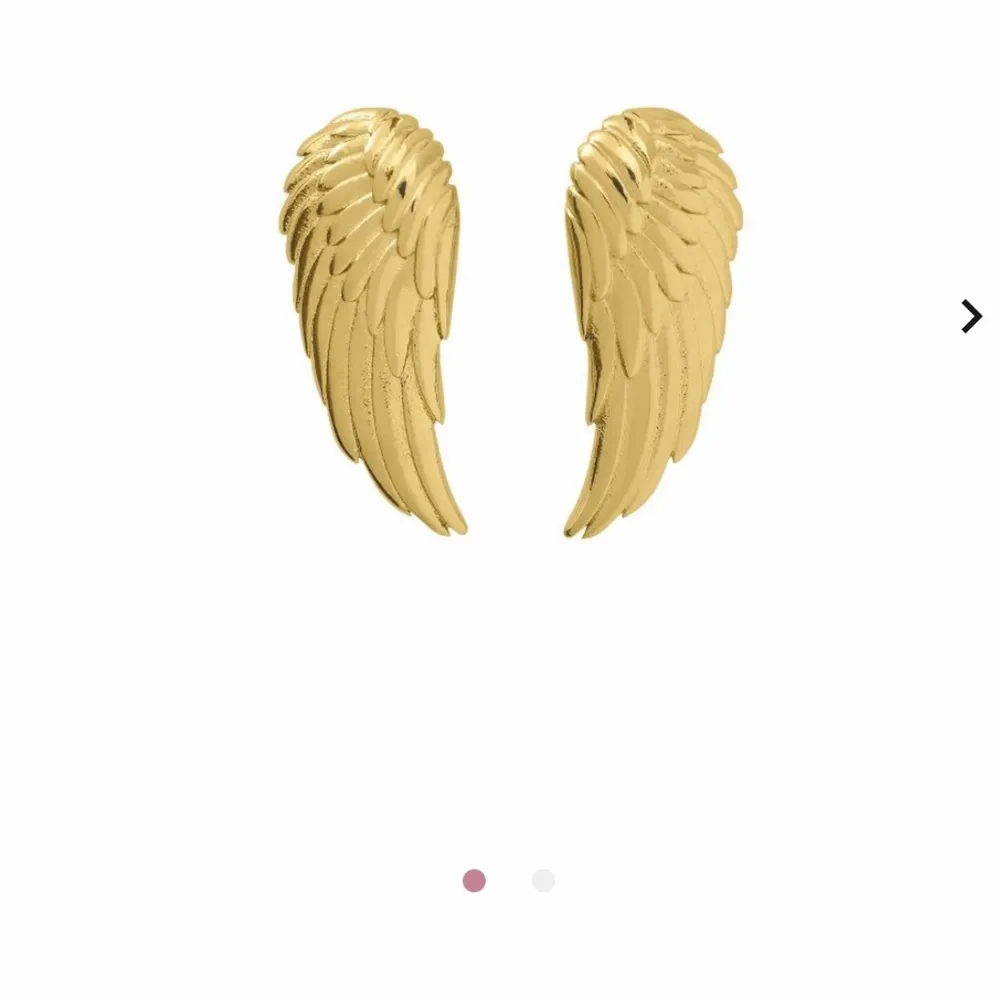 Angel earrings small från Edblads! Köpta för 349kr. Övrigt.