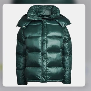 Dunjacka  - Jättefin grön mysig dunjacka från Bikbok. Avtagbar luva! Sparsamt använd 🦋🦋🦋