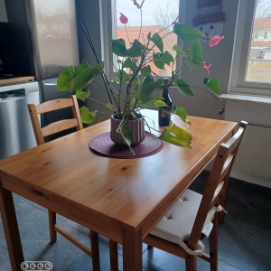 Bord - Matbord  hämtas i Lund. 0 kr