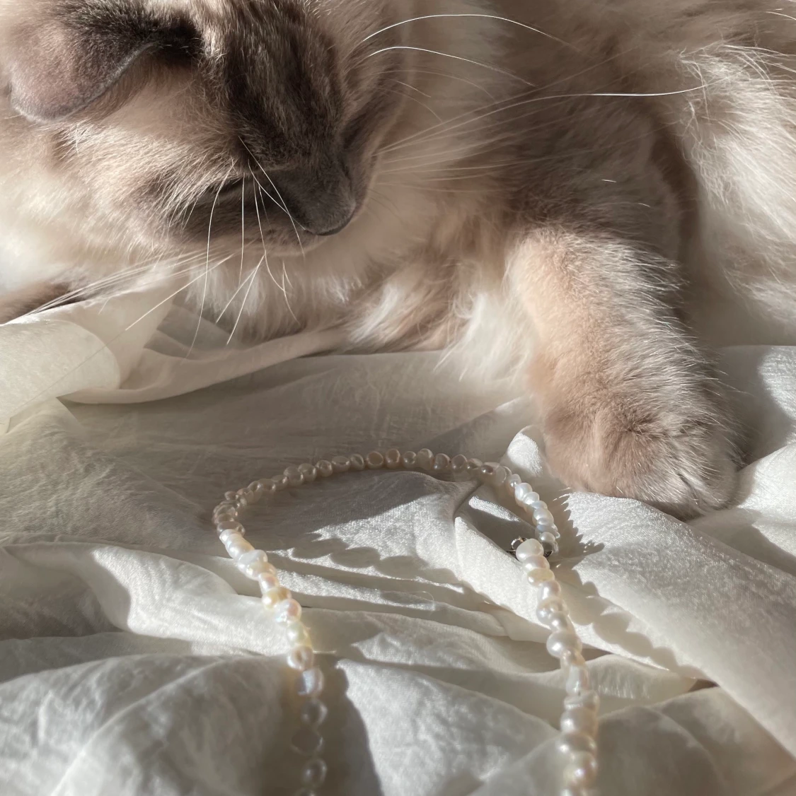 Halsband - Sötvattenpärlor  - 91