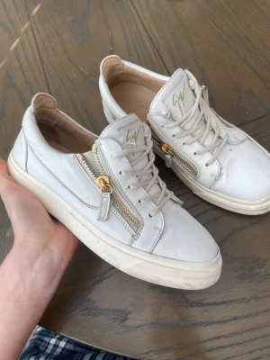 Giuseppe Zanotti  - Säljer ett par Giuseppe Zanotti skor i storlek 41 vid ett riktigt bra pris,