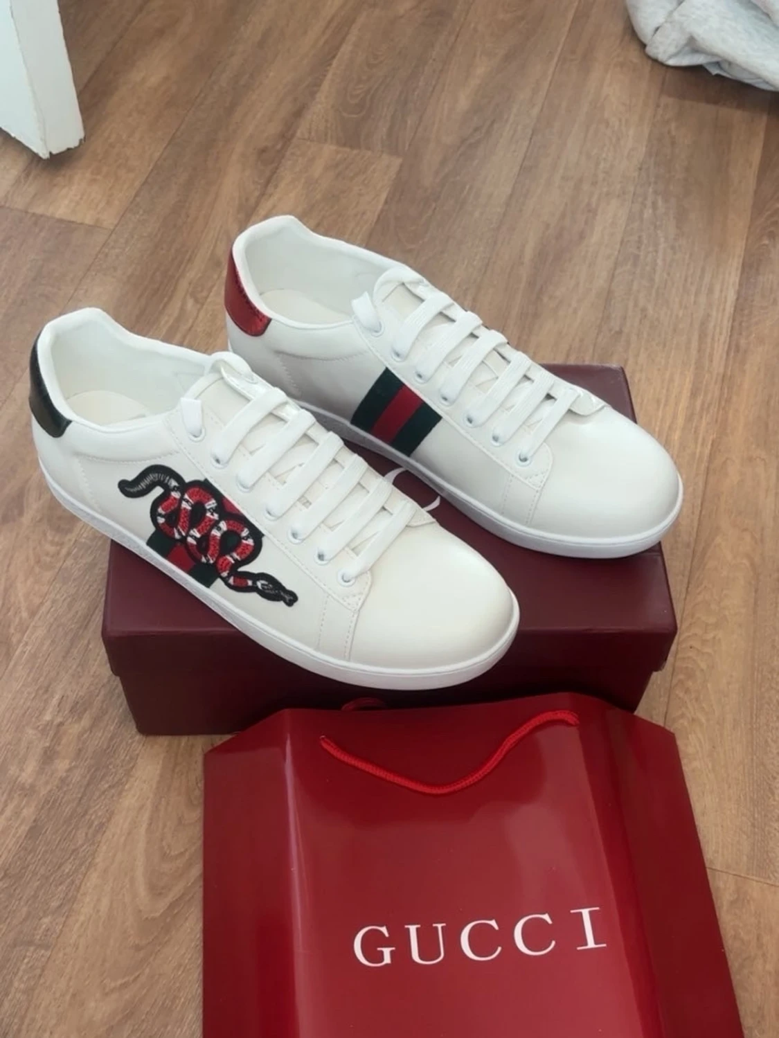 Gucc1 skor 