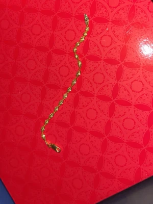 Guldpläterad armband  - Helt ny och oanvänd💕  