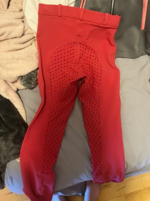 Ridbyxor  - Stolek 170 använd ett par gånger men är ett gott sick djur finns i hemmet 