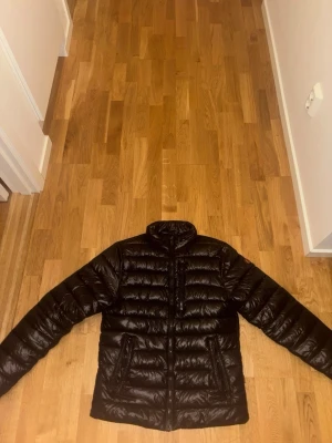 Svart dunjacka från Save The Duck - Säljer en svart dunjacka från Save The Duck med klassisk quiltad design och hög krage. Jackan har två sidofickor med dragkedja och en diskret logotyp på ärmen. Tillverkad i glansigt material och fylld med syntetdun som håller dig varm under kalla dagar. Köpt på Zalando för 2600 för 1 år sen men är i bra skick fickan till vänster är det ett pytte hål i men inget som påverkar.