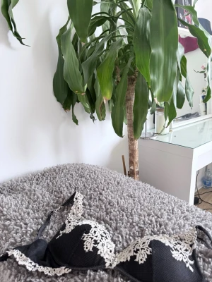 Intimissmi Bh  - Säljer den då jag inte kan använda den längre pga att jag gått upp i storlek hehe 🤰💕