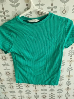Ribbad grön topp från H&M - Snygg ribbad topp i klargrönt från H&M. Modellen är croppad med korta ärmar och har en tight passform. Perfekt till jeans eller kjol för en fräsch look. Materialet är mjukt och stretchigt, vilket gör den superbekväm att bära.
