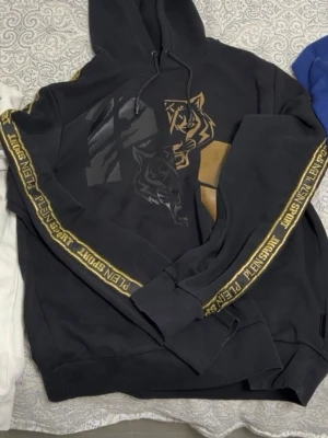 Philipp Plein Sport Hoodie M Herr - Säljes för 500kr - storlek M. Mycket fin!