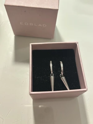 Silvriga hoops med spets från Edblad - Snygga silvriga örhängen från Edblad i form av hoops med hängande spetsiga detaljer. Örhängena har en stilren och modern design, vissa delar är dekorerade med små gnistrande stenar för extra bling. Inte mycket använda och kostar 449kr nypris, hör av er vid frågor eller prisförslag❤️