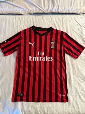 AC Milan matchtröja Zlatan - Säljer en röd och svart AC Milan matchtröja från Puma med vertikala ränder, klubbmärke och Fly Emirates-tryck på bröstet. På ryggen står det Ibrahimović och nummer 11. Tillverkad i funktionsmaterial (Drycell) som andas, perfekt för fotbollsträning eller match. Passar 160-165cm