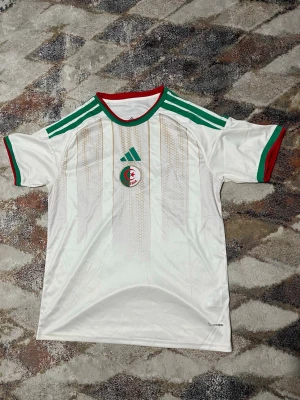 Algeriet tröja 2026 - Storlek L men sitter som M