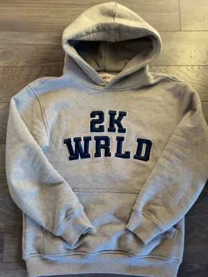 2k wrld hoodie  - Säljer en riktigt fet hoodie från 2k wrld. Storlek small och sitter tvär nice, perfekt skick inga konstigheter 