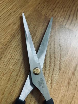 Prisförslag-NY! vass Frisörsax i rostfritt stål - Snygg frisörsax med svarta handtag och blad i rostfritt stål. Saxen har en klassisk form med fingerstöd och är perfekt för att klippa hår hemma eller i salong. Metallskruv i mässing håller bladen på plats. Enkel och stilren design.