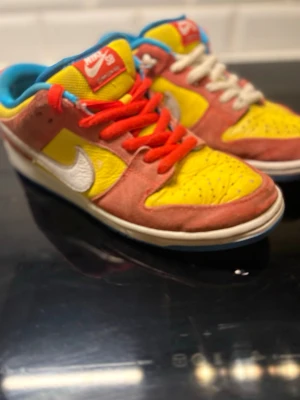 Nike SB Dunk Low Pro multicolor - Unika Nike SB Dunk Low Pro sneakers. Detta är ett unikt sammarbete mellan simsson och nike med dessa unika färger. Den vänsta skor är lite skada för haf skateat i dom 5 gånger och ny pris ligger runt 5500kr