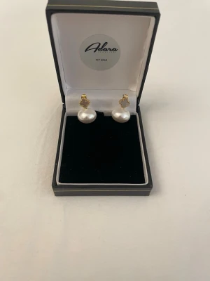 Guldpläterade örhängen  - Rostfrittstål och guldpläterade även allergifria, boxen på bilden ingår ej 🌸