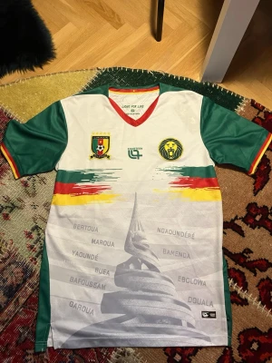 Kamerun fotbollströja med tryck - Snygg Kamerun fotbollströja från Fourteen med gröna ärmar, vita paneler och detaljer i rött och gult. Framsidan har tryck med lejon, landsvapen och flera städer samt ett stort motiv av Monument de la Réunification. Perfekt för dig som vill sticka ut på matchen.