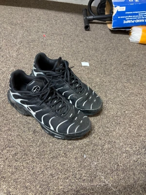 Nike Tn - 44 eu, med ett litet tvätt haru helt frächa