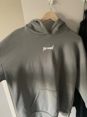 Grå hoodie från FB Sister - Snygg grå hoodie från FB Sister med vit text 'paranoid' på bröstet. Hoodien har en klassisk huva och en stor magficka framtill. Tillverkad i mjukt material som är perfekt för en avslappnad stil.