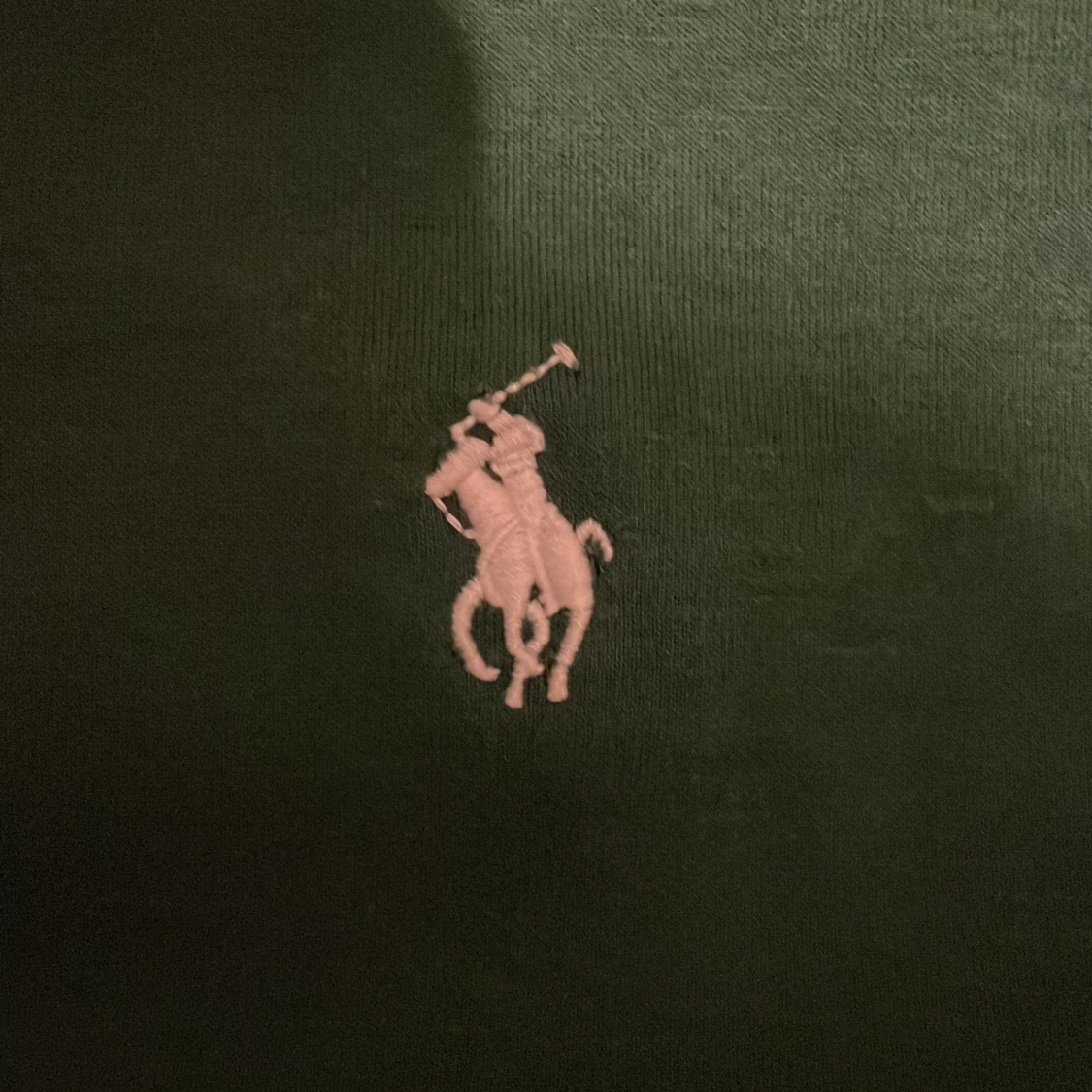 Grön hoodie från Ralph Lauren - 91