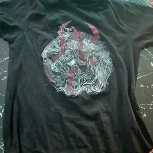 Grunge eller emo shirt - Säljer denna köpte den men använde inte så mycket 