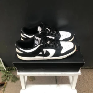 Panda dunk  - (Rep) 43