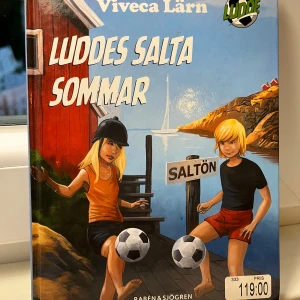 Luddes salta sommar - Boken 'Luddes salta sommar' av Viveca Lärn handlar om Ludde Andersson och hans sommar på Saltön. Det är en berättelse fylld med fotboll, vänskap och äventyr. Ludde och hans kompisar i Rävarna IF förbereder sig för en spännande sommar med träningar och matcher. Perfekt för unga läsare som gillar sport och sommaräventyr!