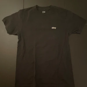 Svart over tröja  - En svart bort tröja som är köpt på obehag hemsida. Den har ett litet tryck där framme där det står obeh och ett stort tryck där bak där det är en byggnad och sen den klassiska obehag stjärnan i hörnet. Knappt använd.