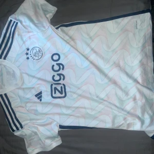 Ajax tröja  - Säljer ajax tröja  bra skick