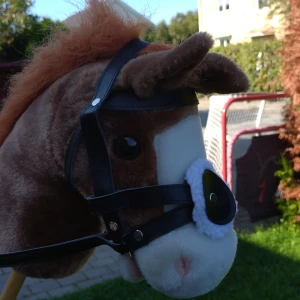 Fin käspphäst - Nu säljer jag min fina yasmine, hon e nästan helt oanvänd och om man vill ha med tränset så blir de 150 kr extra