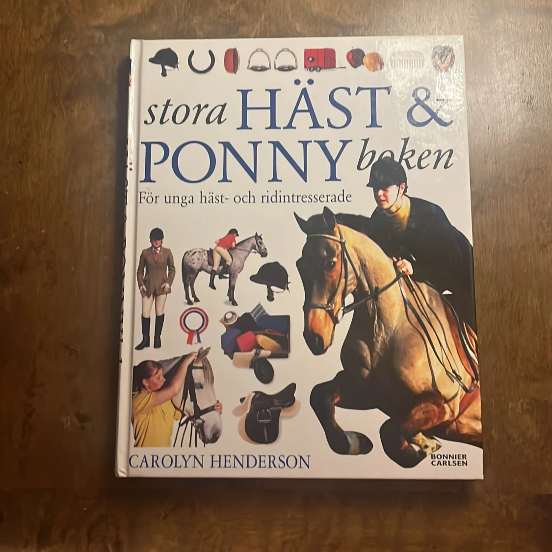 Stora häst- och ponnyboken