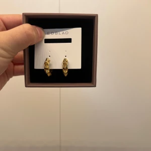 Edblad Peak Örhängen  - Edblad Peak Örhängen, har bara använt dom en gång💖