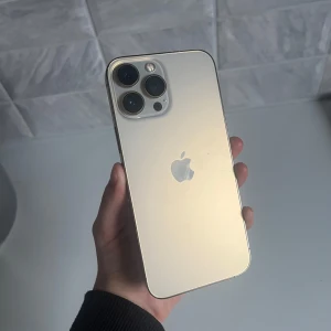 13 PRO Max  - 100% Häsla , 256 GB