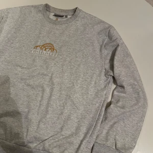 Carthartt Sweatshirt - Bra skick. 