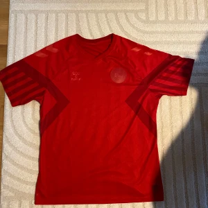Danmark hemma tröja  - Helt ny Danmark tröja från hummel butik. Säljer då den inte passade min bror som jag köpte åt. Storlek L 