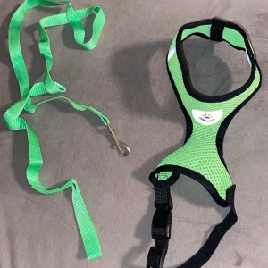 Grön koppel med reflexer  - Säljer min gröna koppel som inte kommer till användning gå grund av för liten.  Storlek XS/S😊