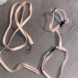 Rosa koppel till hundar - Här har jag en rosa koppel och som inte går till användning. Den passar inte till min hane. Skulle säga att den är XS.💕