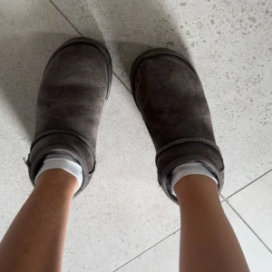 UGG SKOR - Jättefina gråa låga uggs! Använt sparsamt och perfekt till dig som letar efter höstskor 🍁🍁 Nypris: 1995kr