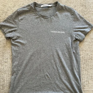 Calvin Klein Tshirt Grå - Calvin klein Tshirt grå   Storlek: Medium (M)  Pris: 320kr