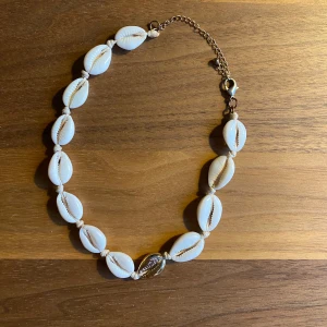 Halsband med vita snäckor - Charmigt halsband med vita snäckor och justerbar kedja. Perfekt för en somrig look med naturlig känsla. Snäckorna är jämnt fördelade och ger en bohemisk touch.