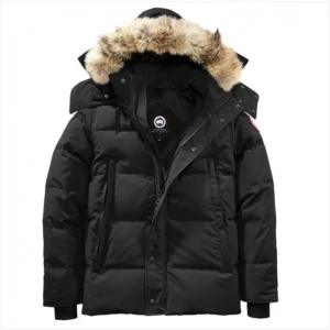 Canada Goose Wyndham Parka - Väldigt bra skick, stor i storleken så passar S.