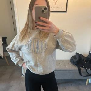 Grå sweatshirt med tryck - Säljer en grå sweatshirt med ett blått tryck på framsidan. Tröjan har långa ärmar och en bekväm passform. Från gina tricot, finns lite noppror som är lätt att få bort, använd skick 